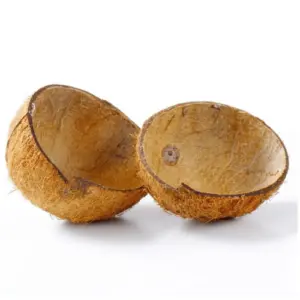Coconut Shell