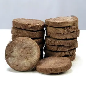 Cow Dung Cakes